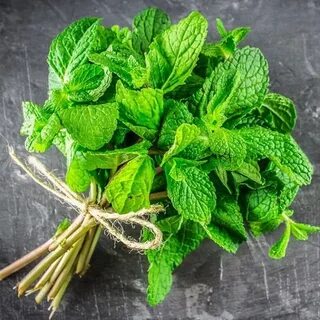 قیمت امروز خرید سبزی نعنا خشک صادراتی + تحویل سریع